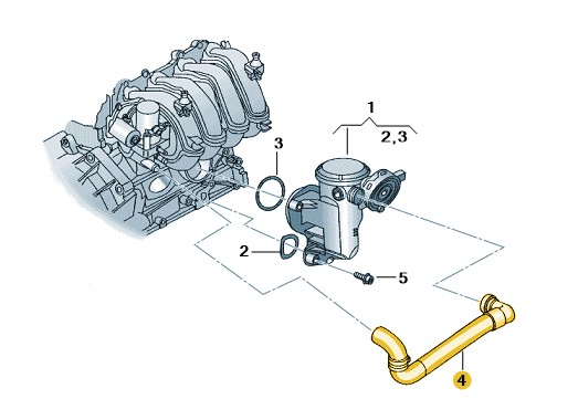 Podgląd obrazka: wąż (nr katalogowy: 030103493CQ)
