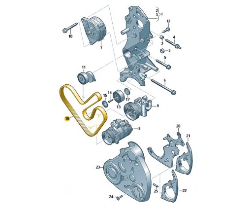 Pas wielorowkowy (nr katalogowy: 03L903137AC)