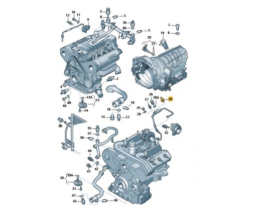 Czujnik ciśnienia oleju (nr katalogowy: 059919081G)