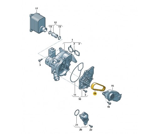 Pasek zebaty (nr katalogowy: 06K121605C)