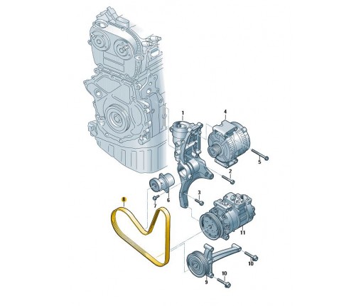 Pas wielorowkowy (nr katalogowy: 06L903137A)